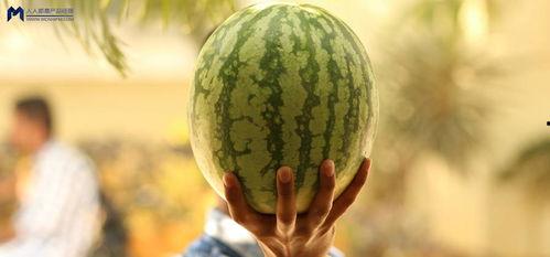 吃瓜大瓜事件,揭秘网络舆论狂欢背后的真相